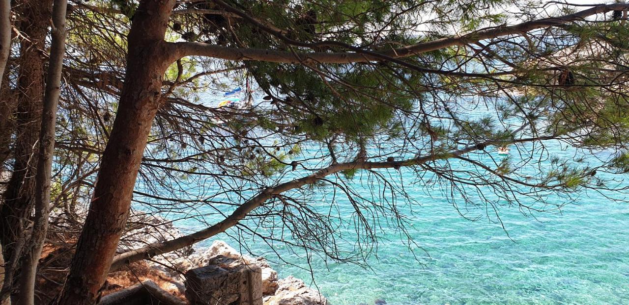 Apartament Adriatic Orebić Zewnętrze zdjęcie