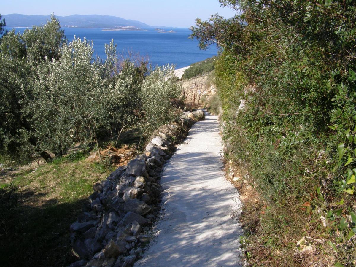 Apartament Adriatic Orebić Zewnętrze zdjęcie